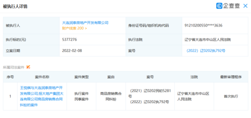 大連潤泰房地產開發成被執行人 執行標的超537萬元