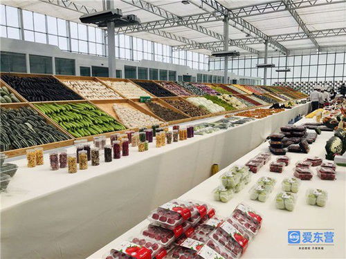 i東營 來自重點工程項目一線的報道蔬菜大棚變身智能工廠